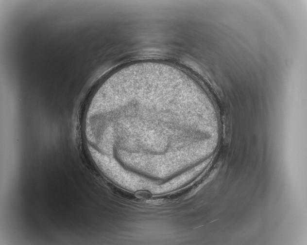 X0000100931453200807221127