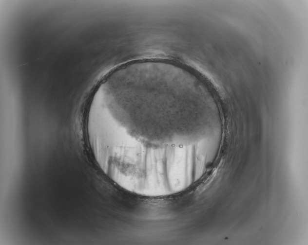 X0000100931455200807221127