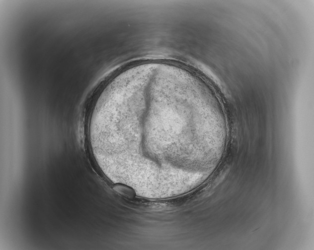 X0000100931456200807221127