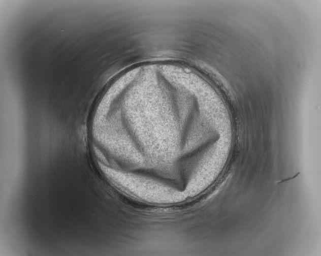 X0000100931457200807221127