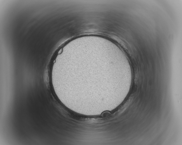 X0000100931458200807221127