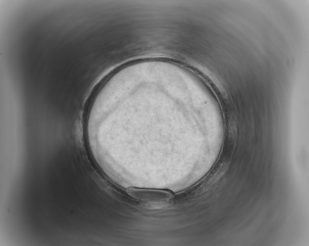 X0000100931460200807221127