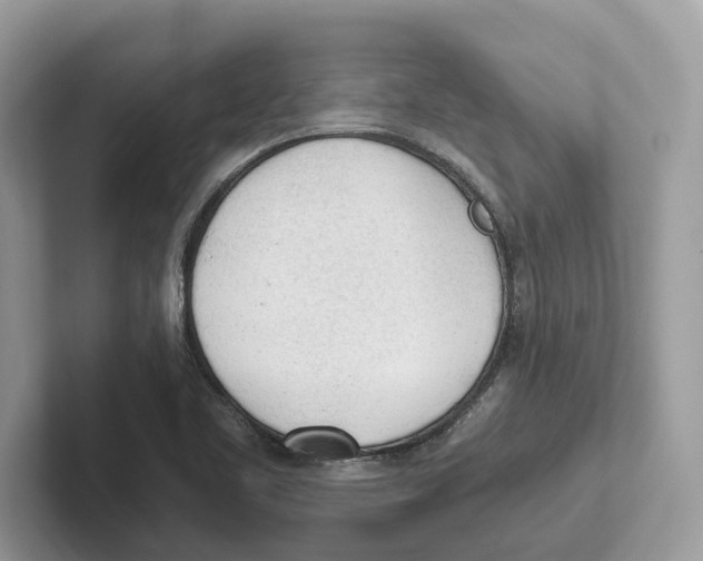 X0000100931461200807221127