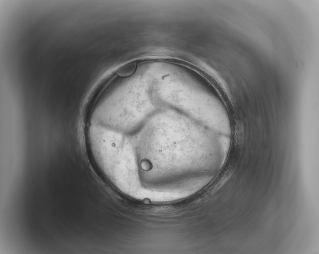 X0000100931464200807221127