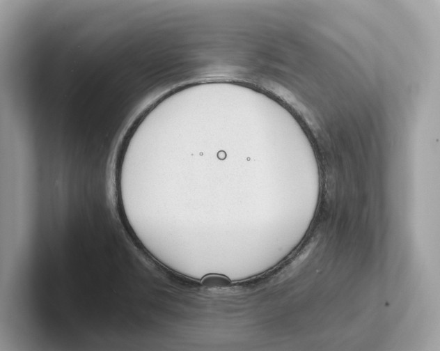 X0000100931469200807221127