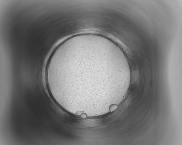 X0000100931470200807221127