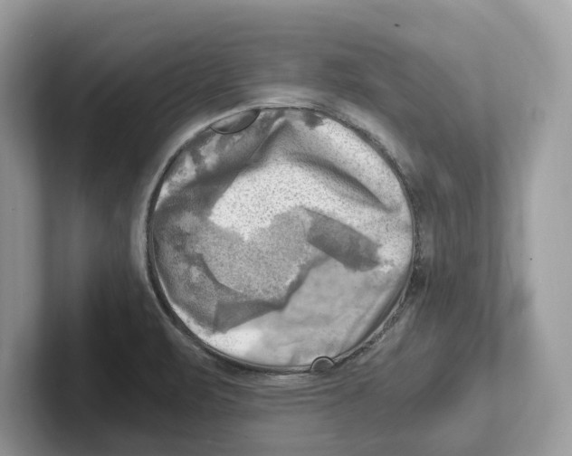 X0000100931471200807221127