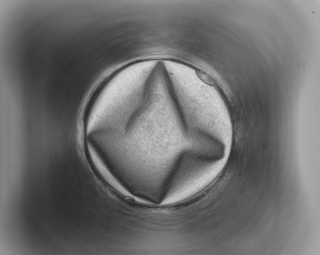 X0000100931472200807221127