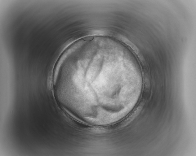 X0000100931473200807221127