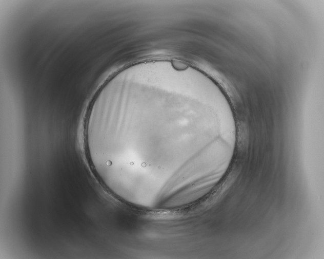 X0000100931474200807221127