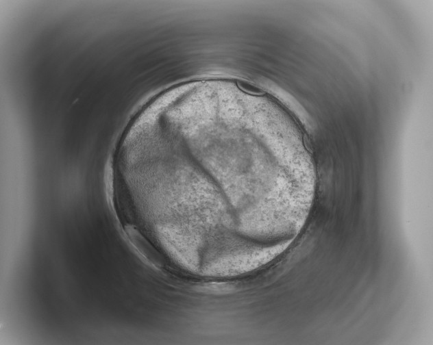 X0000100931476200807221127