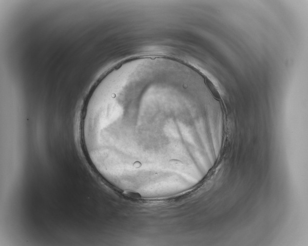 X0000100931477200807221127