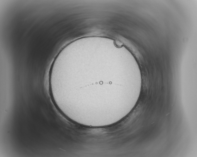 X0000100931479200807221127