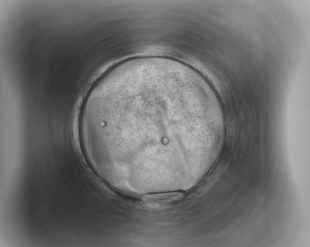 X0000100931480200807221127