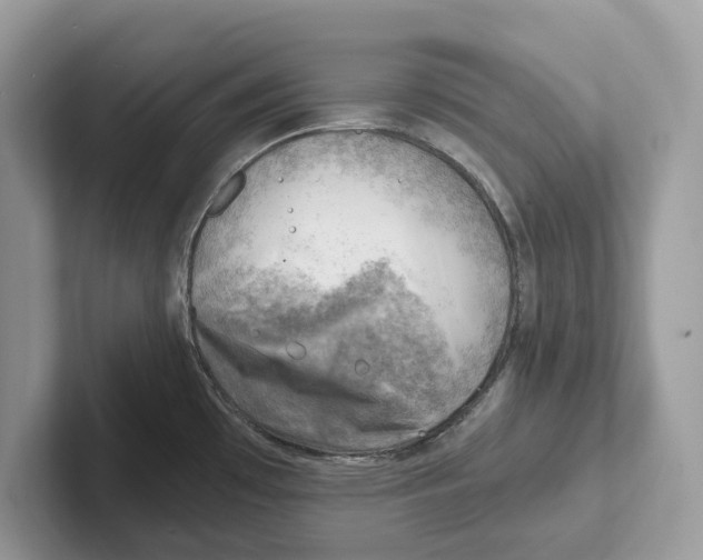 X0000100931481200807221127