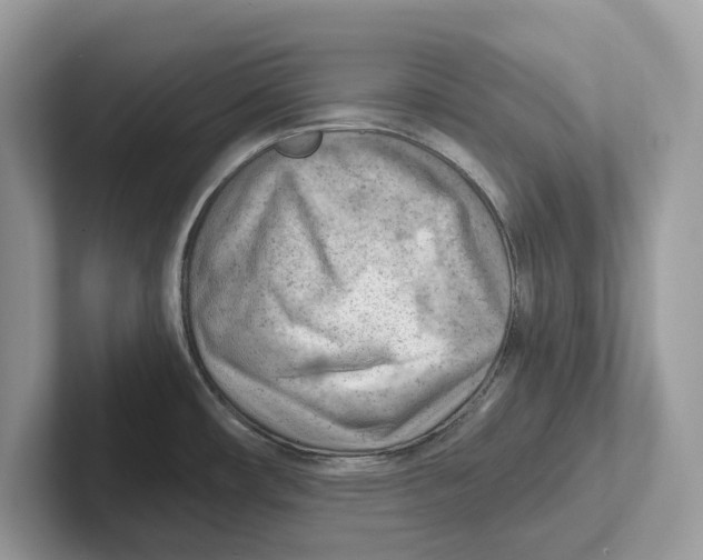 X0000100931482200807221126