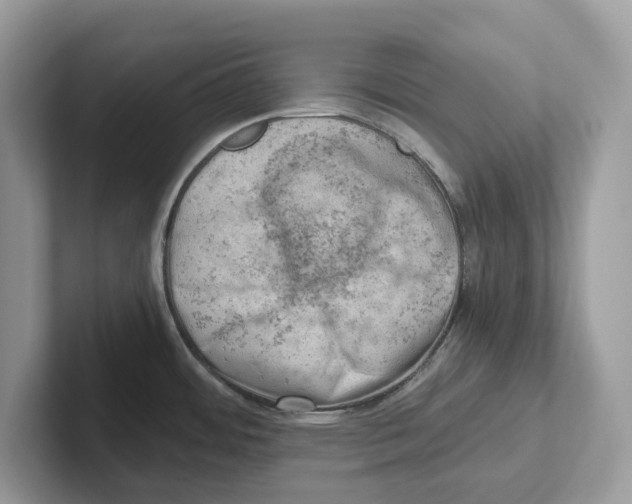 X0000100931484200807221126