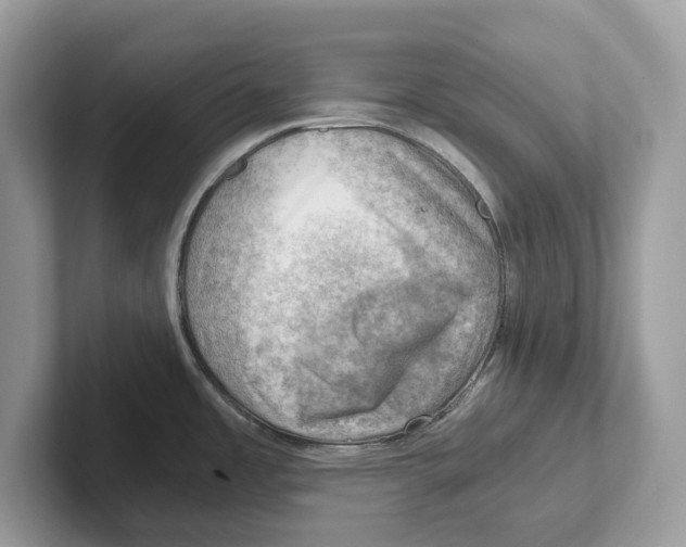 X0000100931485200807221126