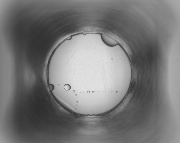 X0000100931486200807221126