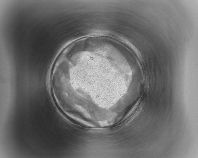 X0000100931487200807221126