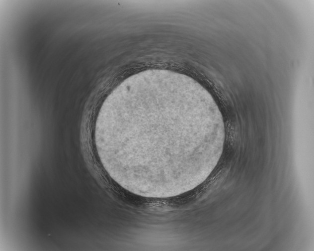 X0000100931489200807221126