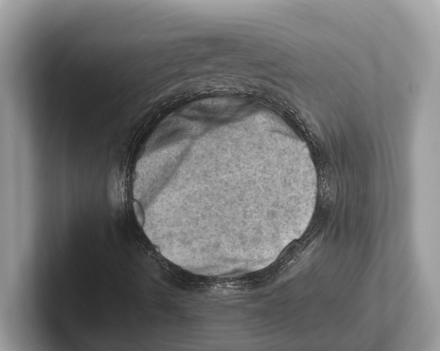 X0000100931490200807221126