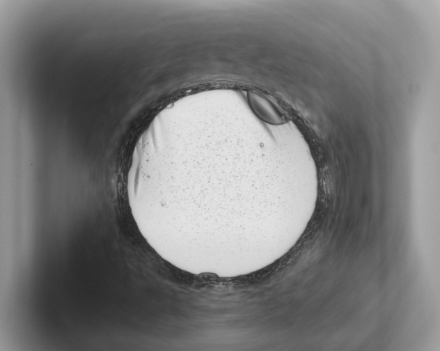 X0000100931495200807221126