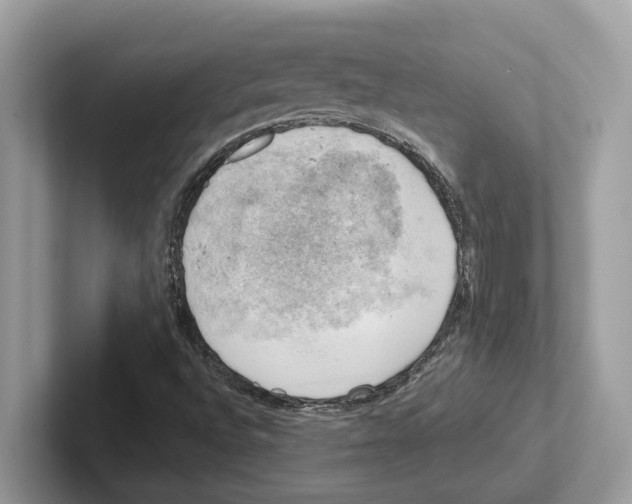 X0000100931496200807221126