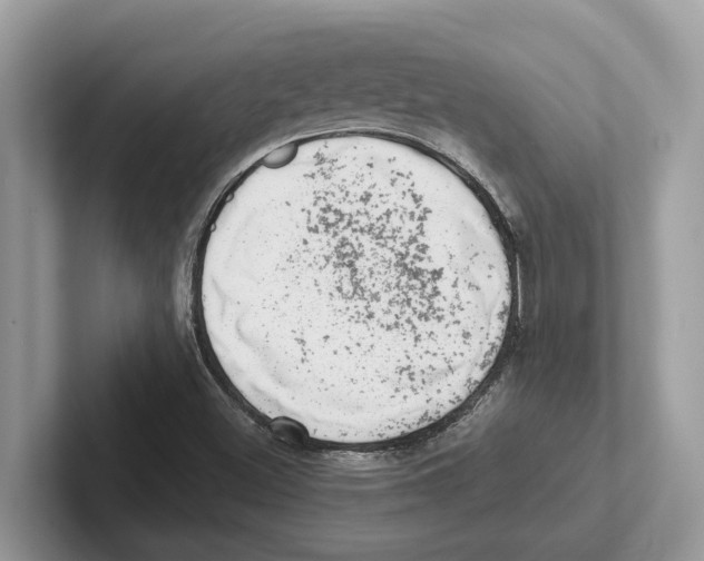 X0000100931500200807221126