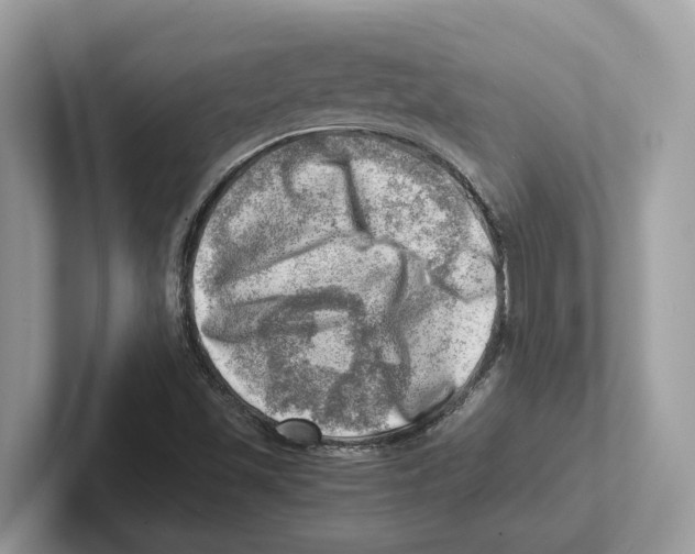 X0000100931501200807221126