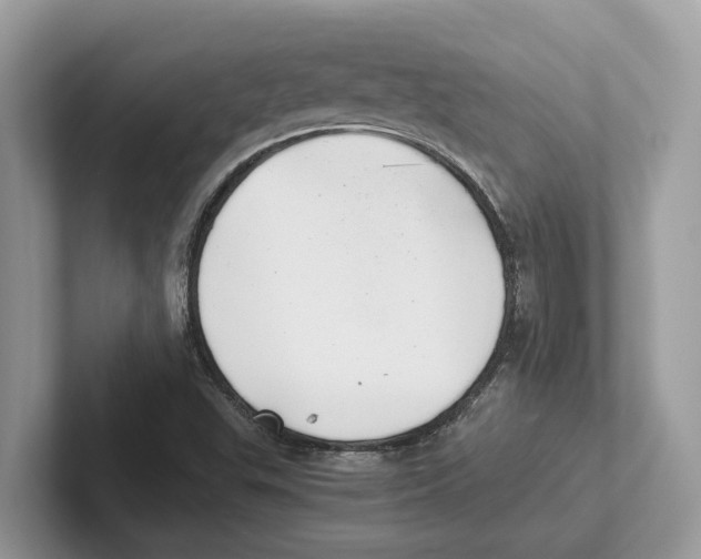 X0000100931503200807221126