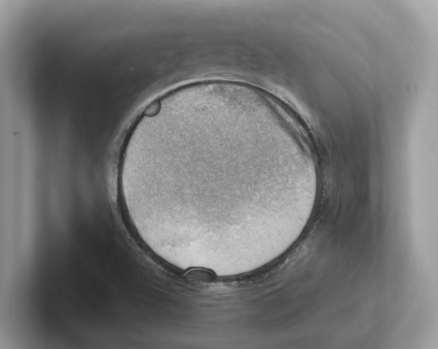 X0000100931504200807221126