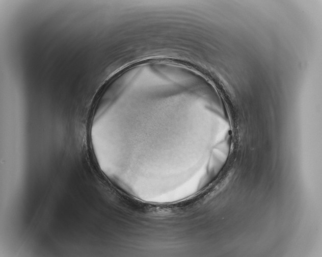 X0000100931505200807221126