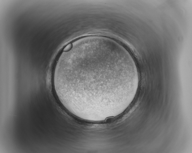 X0000100931506200807221126