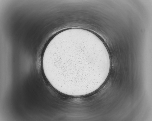 X0000100931507200807221126