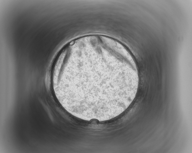 X0000100931511200807221126