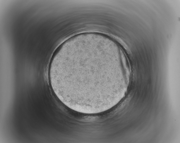 X0000100931513200807221126