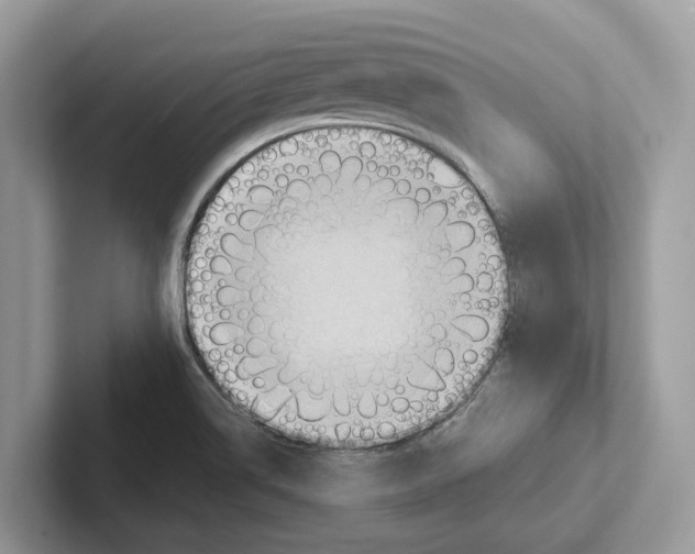 X0000100931514200807221126