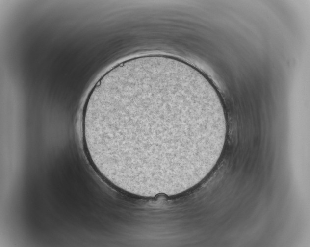 X0000100931516200807221126