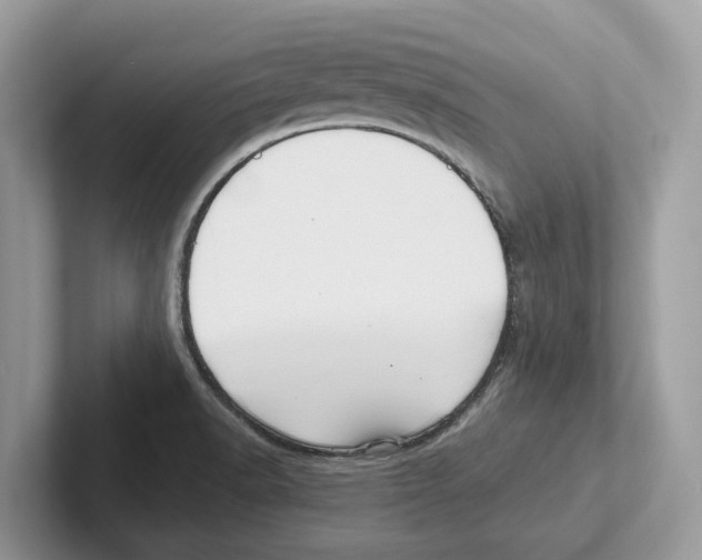 X0000100931518200807221126