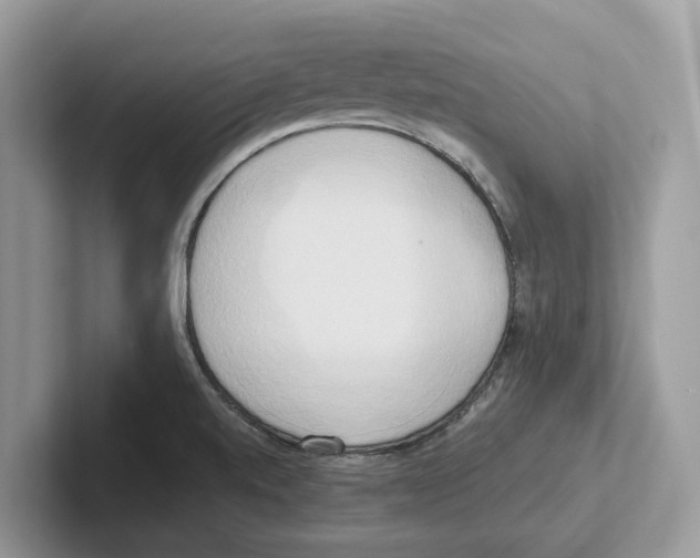 X0000100931520200807221126