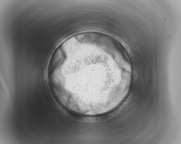 X0000100931521200807221126