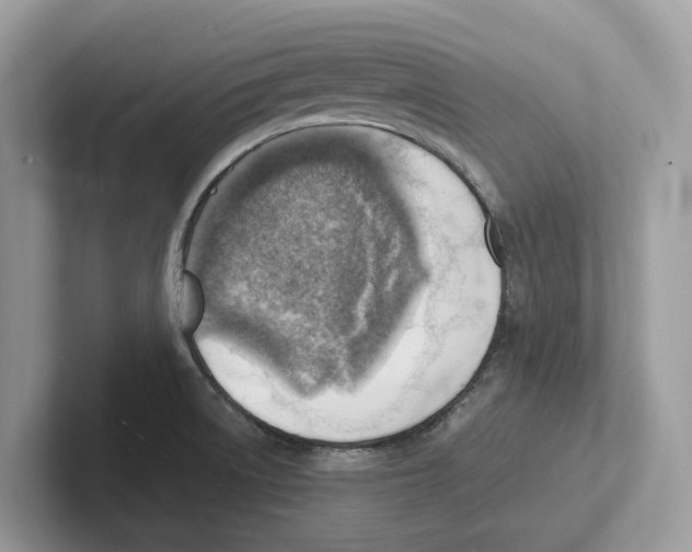 X0000100931522200807221126