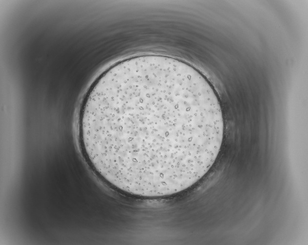 X0000100931523200807221126