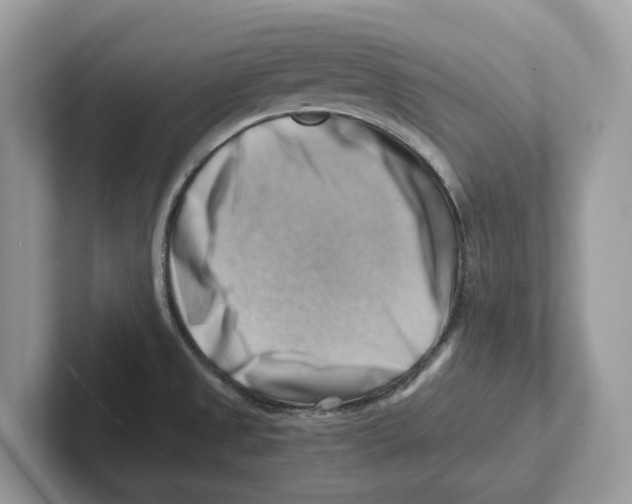 X0000100931525200807221126