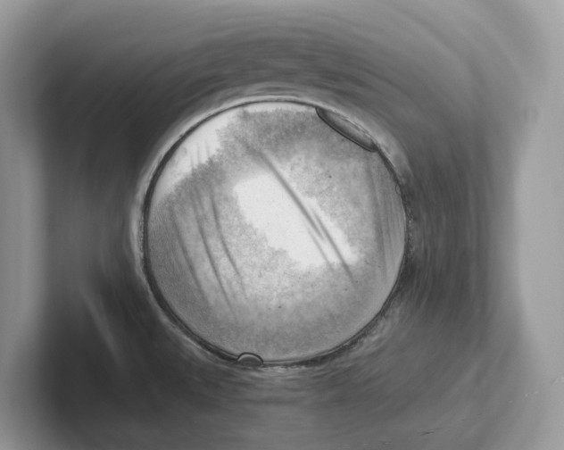 X0000100931527200807221126