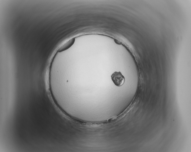 X0000100931528200807221126