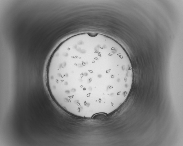 X0000100931531200807221126