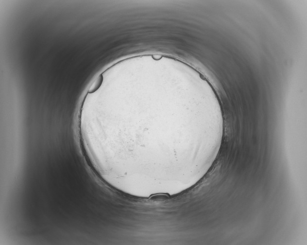 X0000100931532200807221126