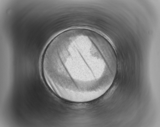 X0000100931533200807221126